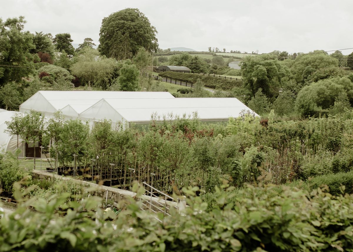 Papervale Trees nursery landscape and growing beds, Co. Down