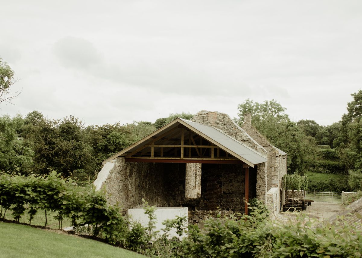 Papervale Trees nursery landscape and growing beds, Co. Down