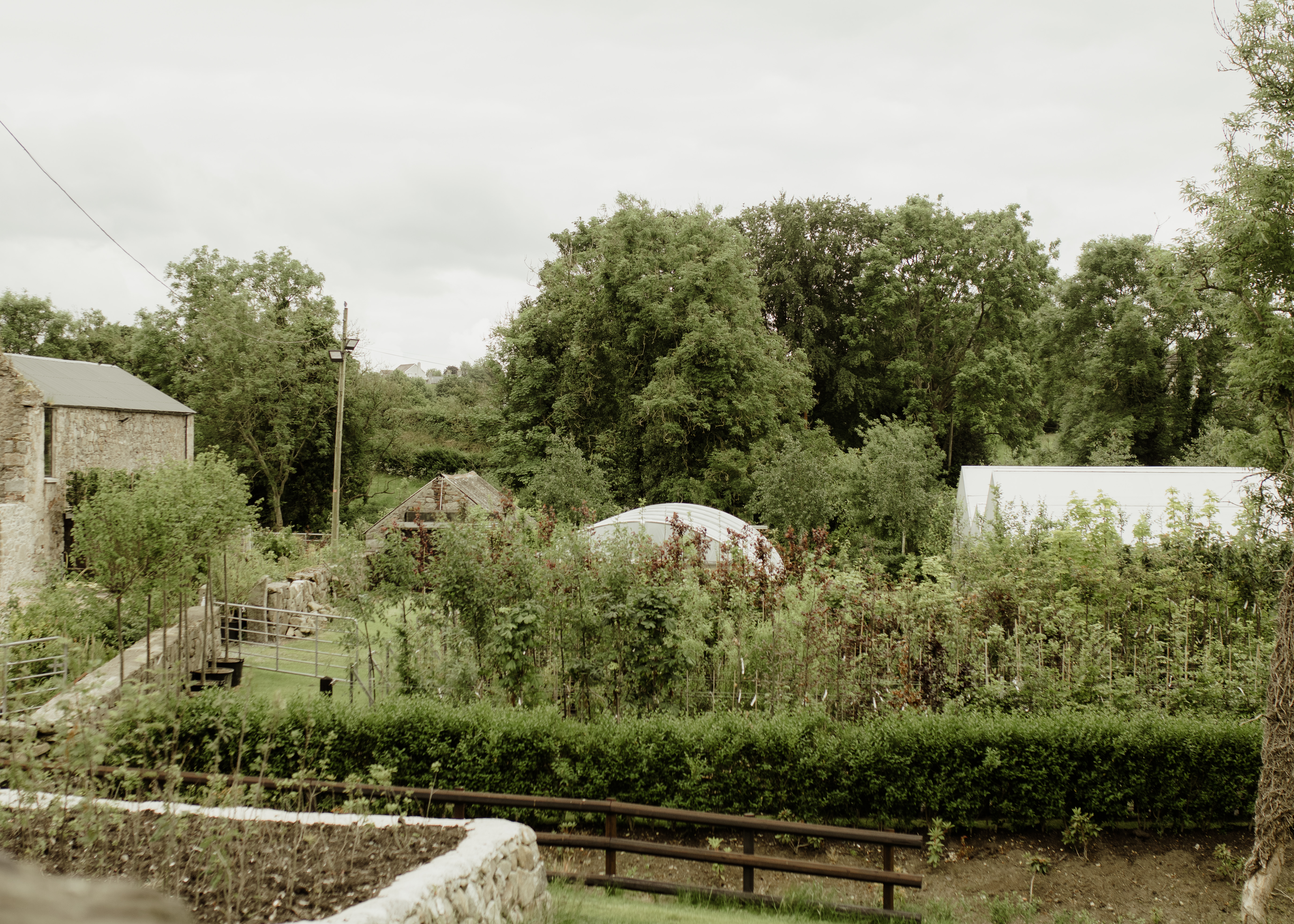 Papervale Trees nursery landscape and growing beds, Co. Down