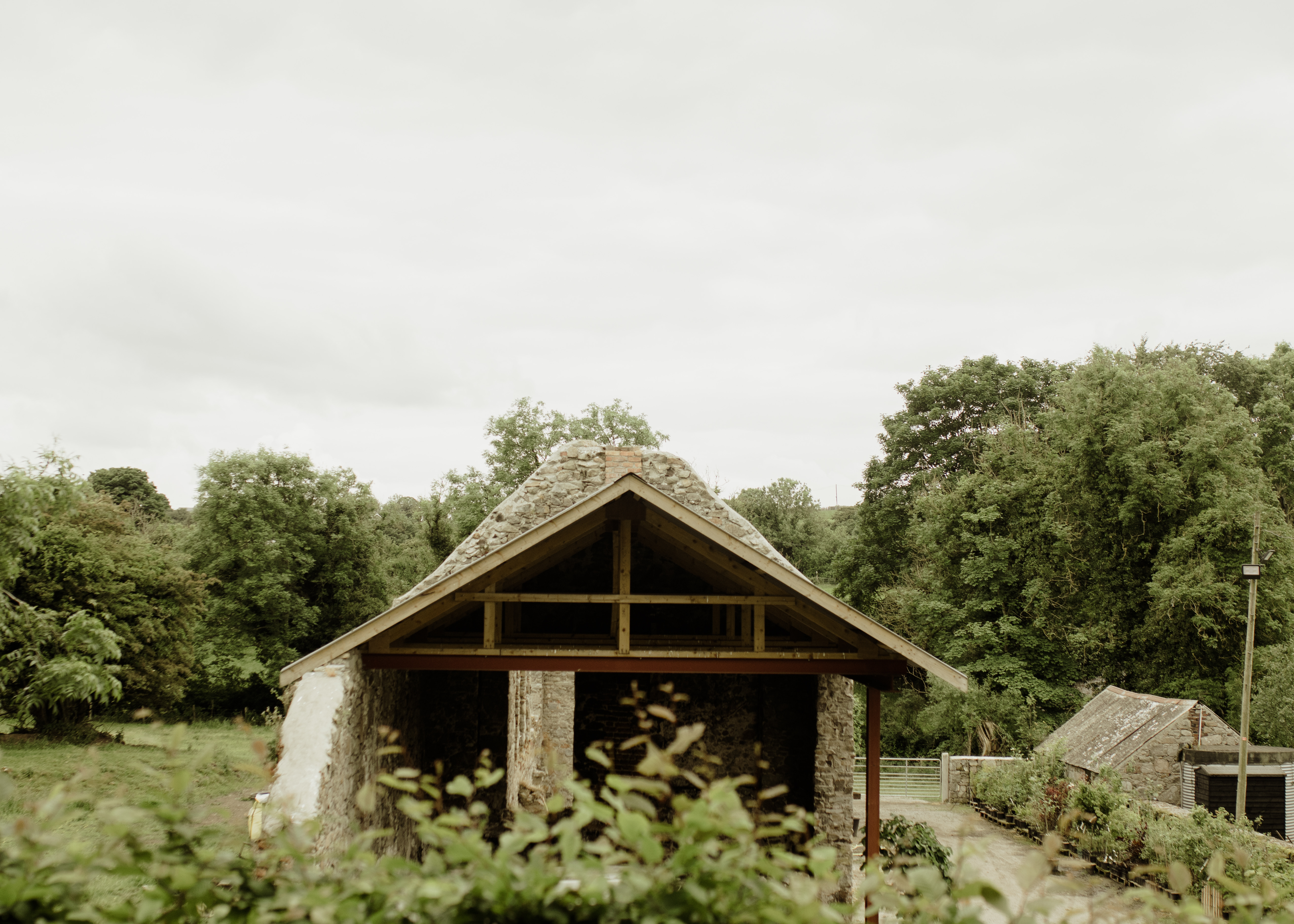 Papervale Trees nursery landscape and growing beds, Co. Down