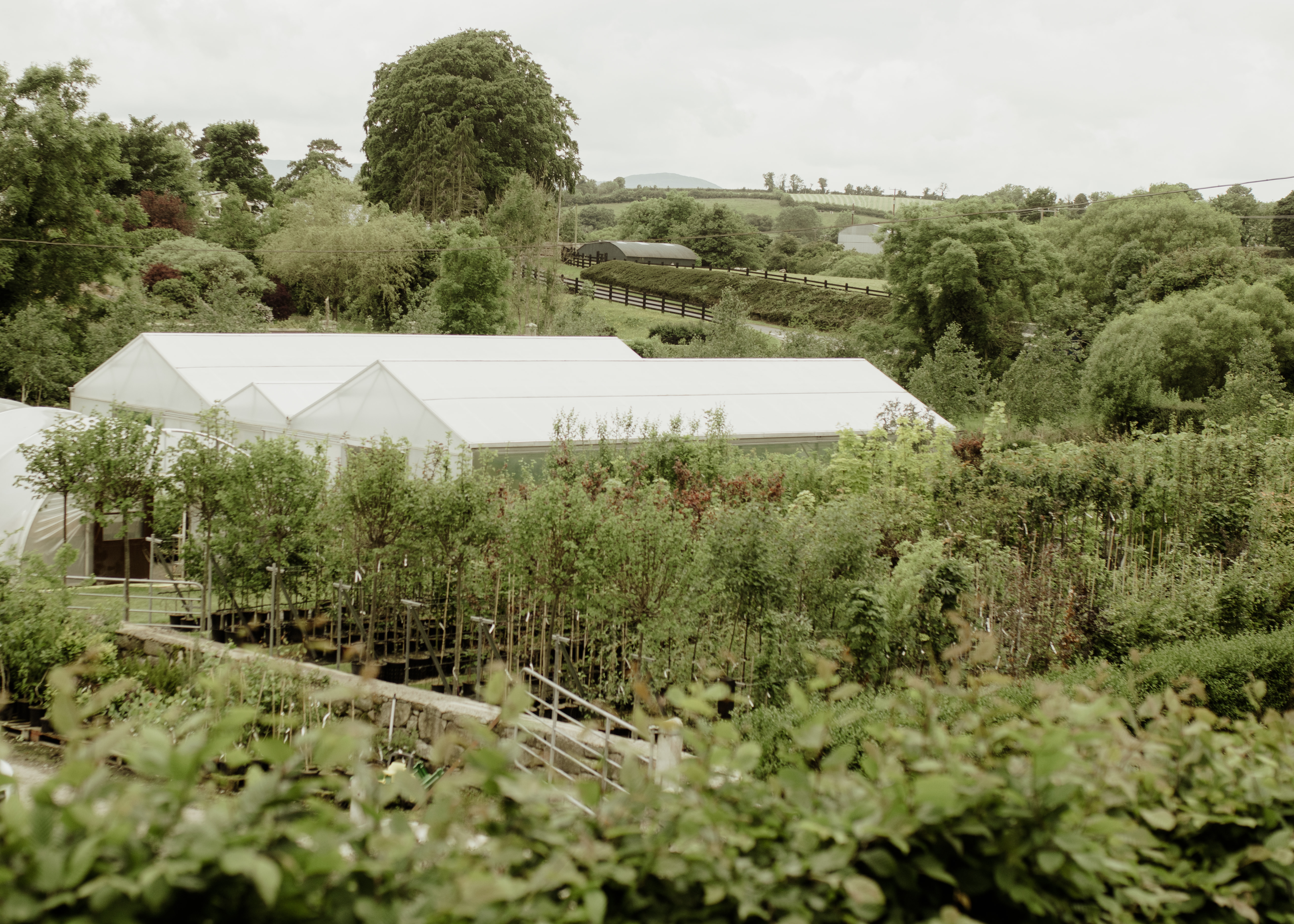 Papervale Trees nursery landscape and growing beds, Co. Down