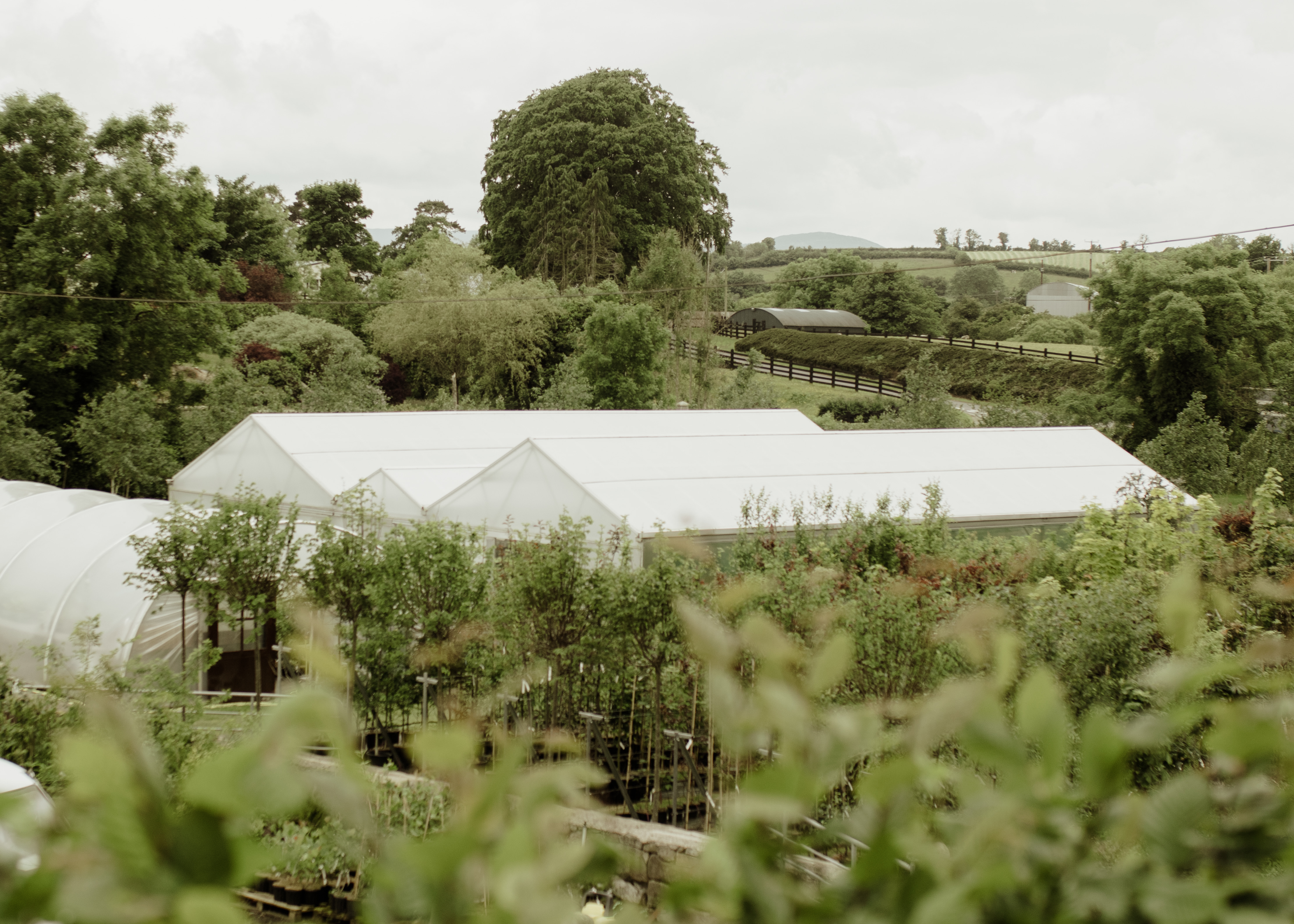 Papervale Trees nursery landscape and growing beds, Co. Down