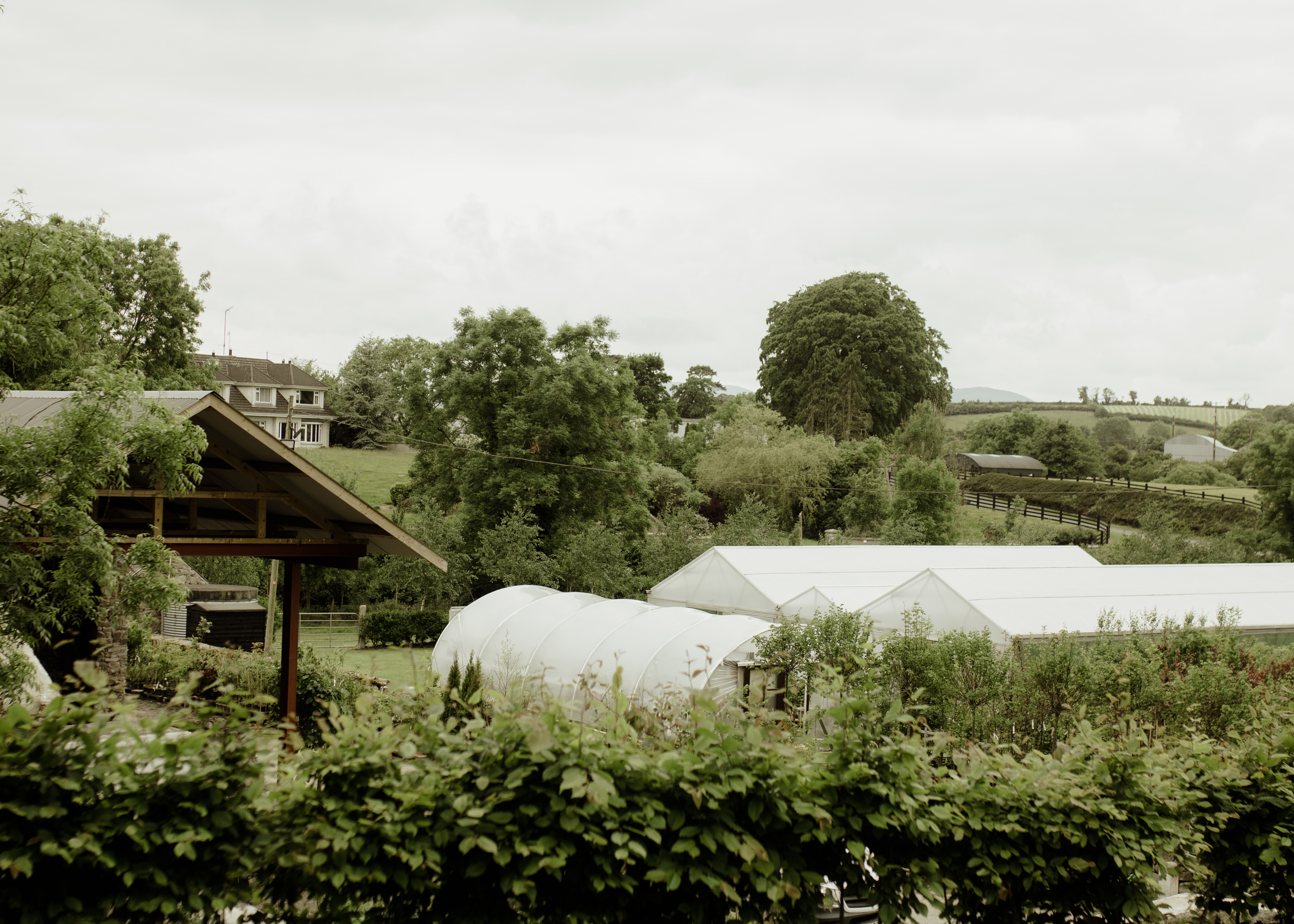 Papervale Trees nursery landscape and growing beds, Co. Down