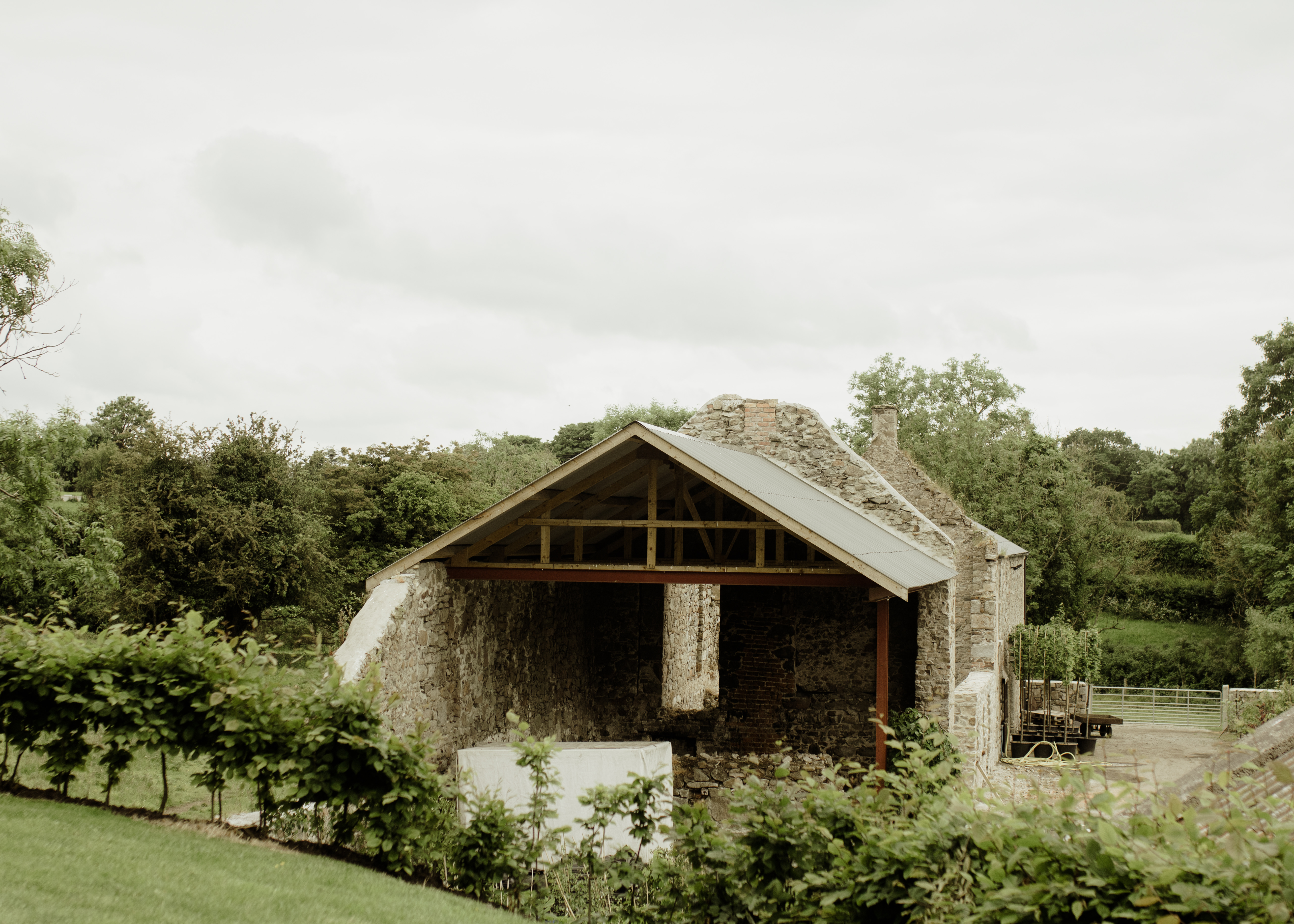 Papervale Trees nursery landscape and growing beds, Co. Down
