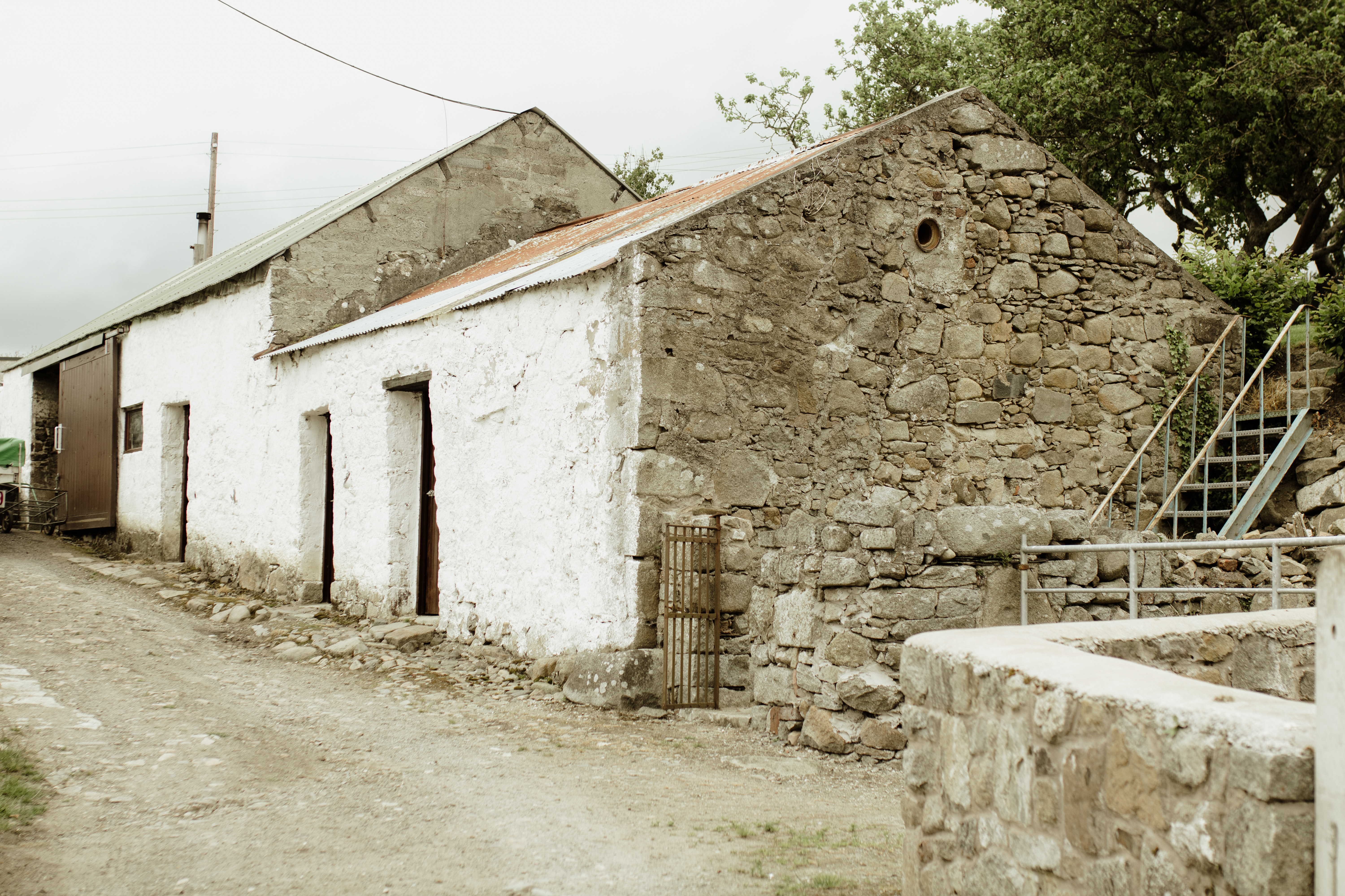 Papervale Trees nursery landscape and growing beds, Co. Down