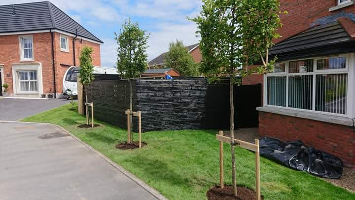 Papervale Trees nursery landscape and growing beds, Co. Down