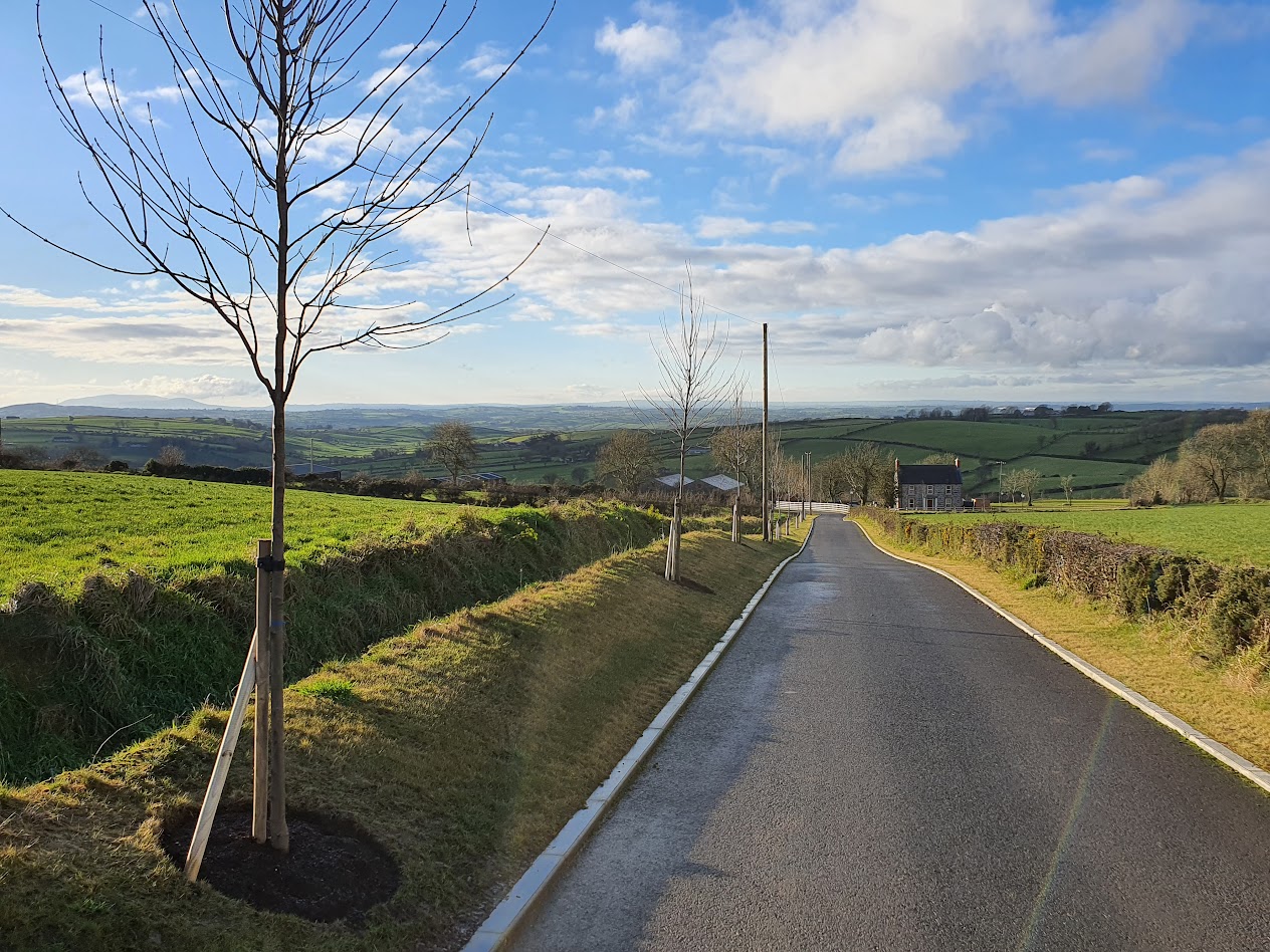 Papervale Trees nursery landscape and growing beds, Co. Down