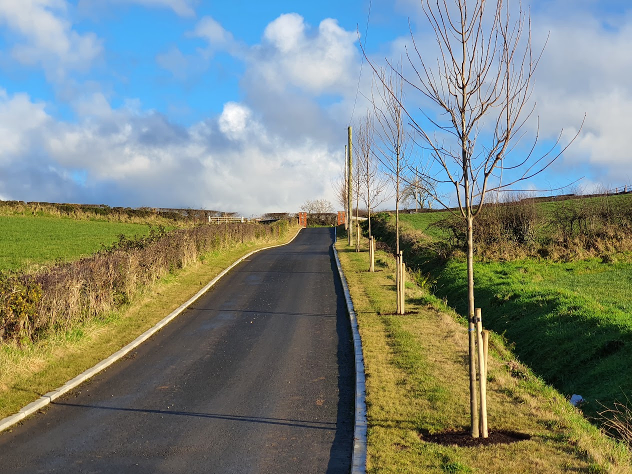 Papervale Trees nursery landscape and growing beds, Co. Down