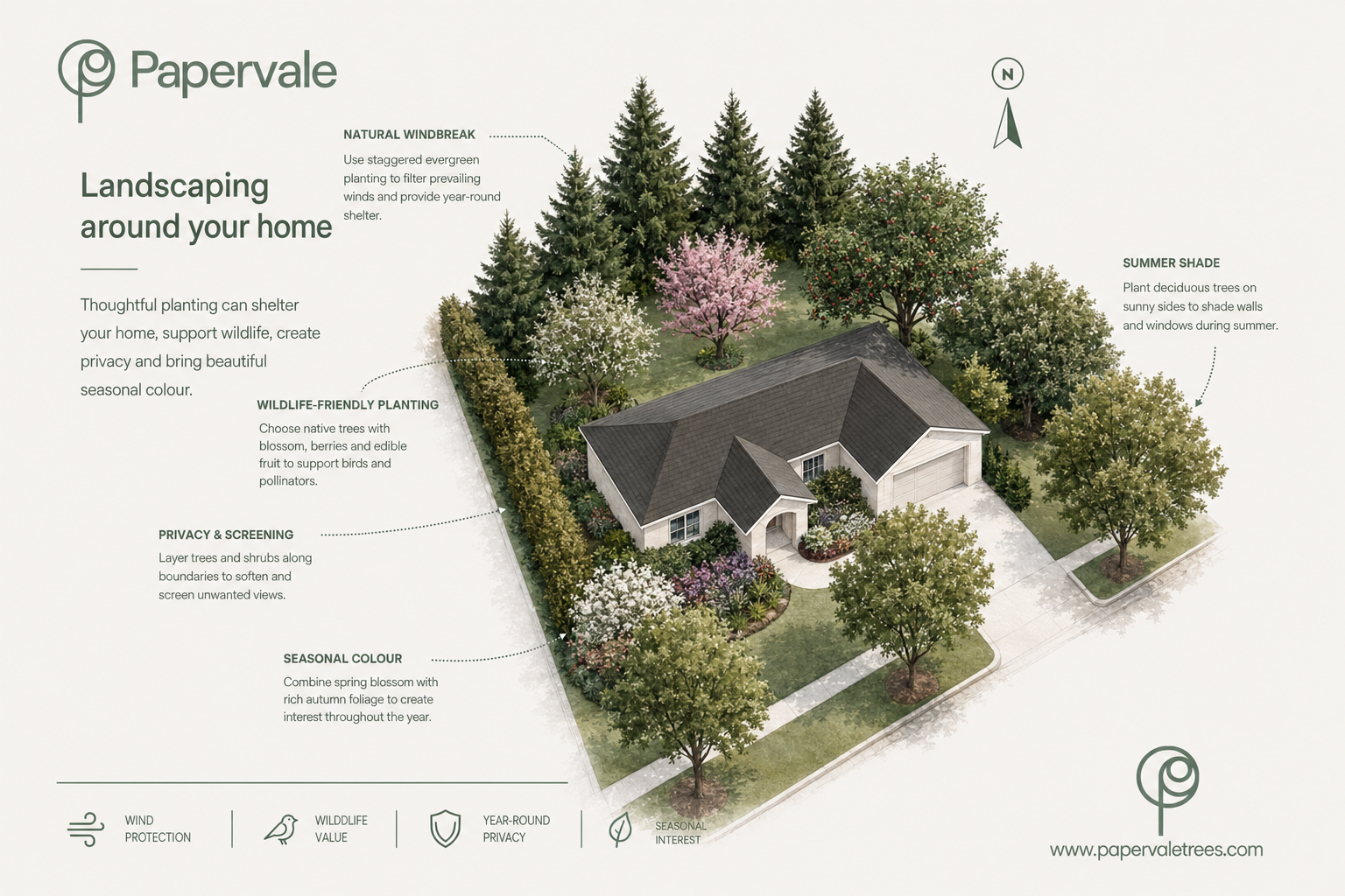 Landscaping illustration showing trees placed for form, function and seasonal interest