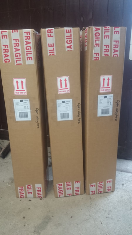 Papervale trees carefully packaged and ready for secure delivery