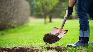 Digging a properly sized hole for planting a new tree